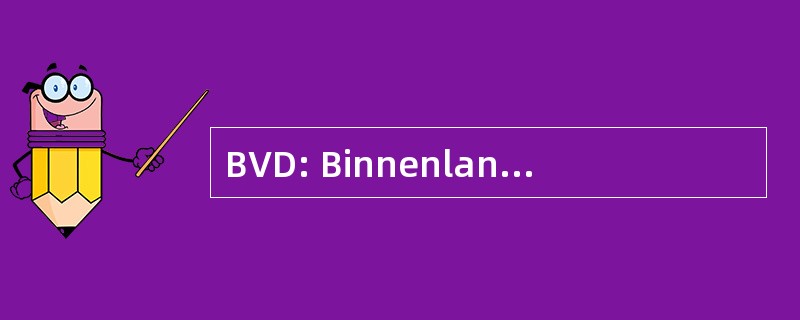 BVD: Binnenlandse Veiligheids 扩大