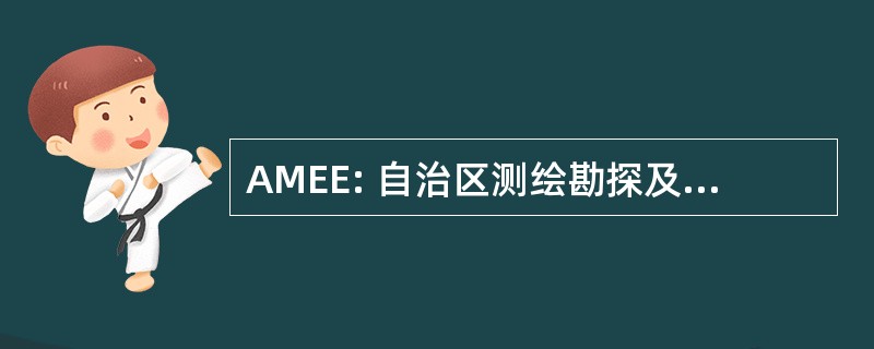 AMEE: 自治区测绘勘探及逃税行为