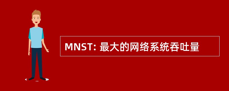 MNST: 最大的网络系统吞吐量