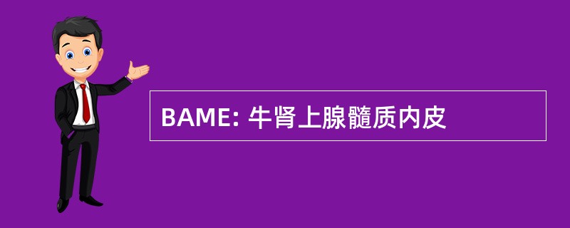 BAME: 牛肾上腺髓质内皮