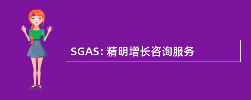 SGAS: 精明增长咨询服务