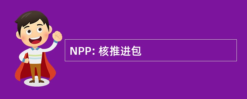 NPP: 核推进包