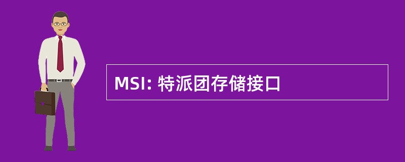 MSI: 特派团存储接口