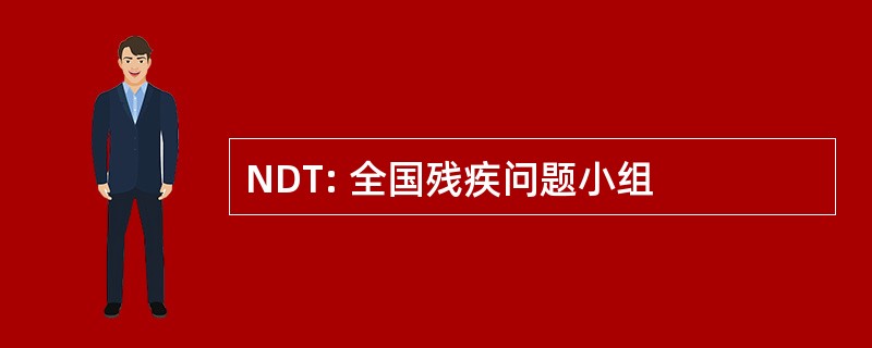 NDT: 全国残疾问题小组