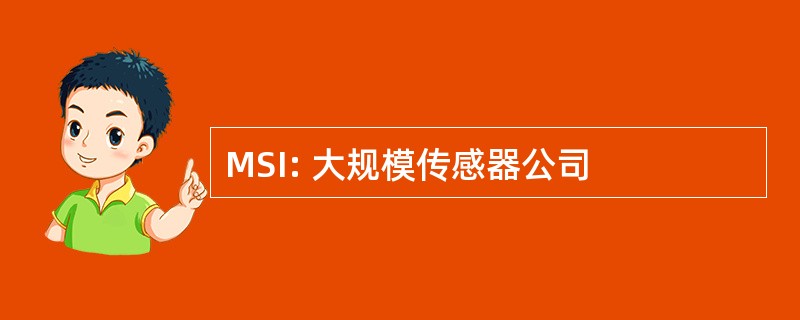 MSI: 大规模传感器公司