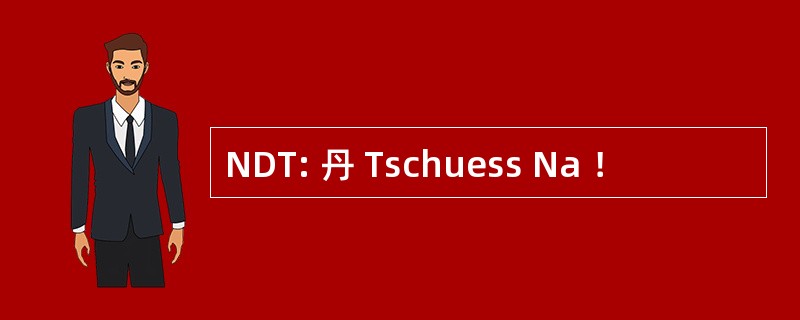 NDT: 丹 Tschuess Na ！