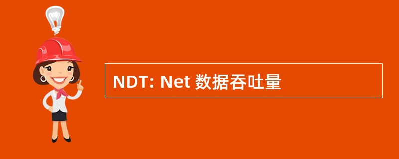 NDT: Net 数据吞吐量