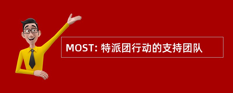 MOST: 特派团行动的支持团队