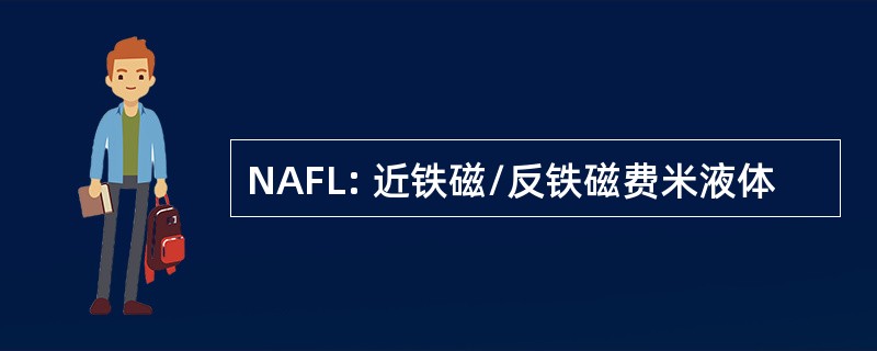 NAFL: 近铁磁/反铁磁费米液体