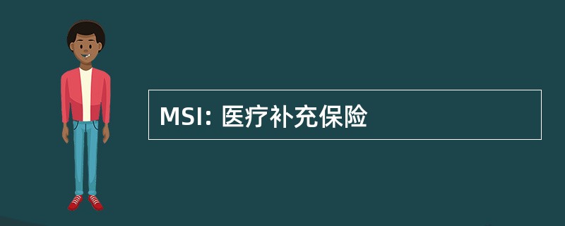 MSI: 医疗补充保险