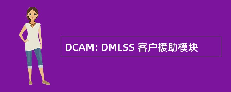 DCAM: DMLSS 客户援助模块