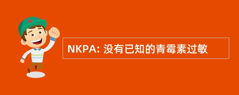 NKPA: 没有已知的青霉素过敏