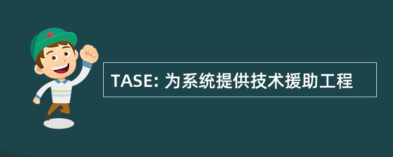 TASE: 为系统提供技术援助工程