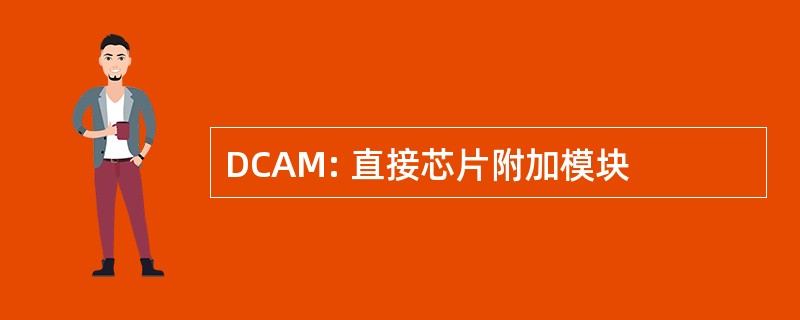 DCAM: 直接芯片附加模块