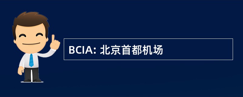 BCIA: 北京首都机场