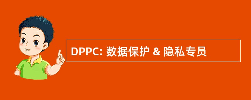 DPPC: 数据保护 & 隐私专员