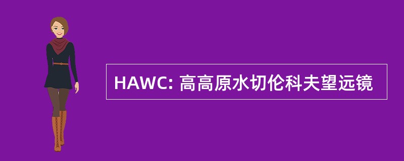 HAWC: 高高原水切伦科夫望远镜