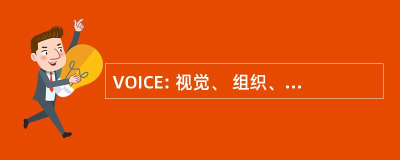 VOICE: 视觉、 组织、 诚信、 沟通和执行