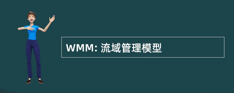 WMM: 流域管理模型