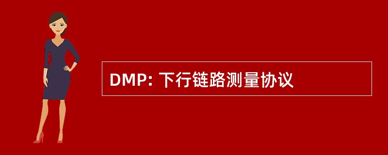 DMP: 下行链路测量协议