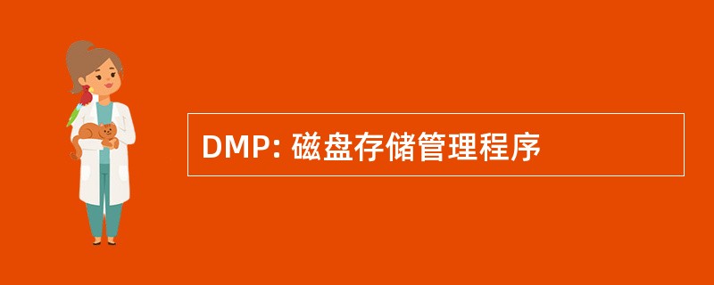 DMP: 磁盘存储管理程序