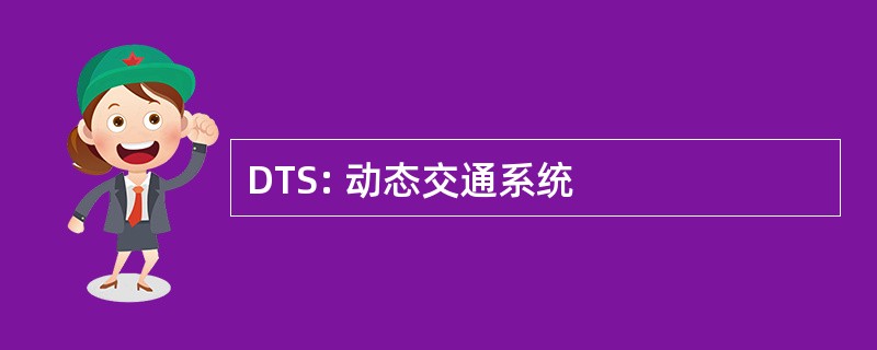 DTS: 动态交通系统