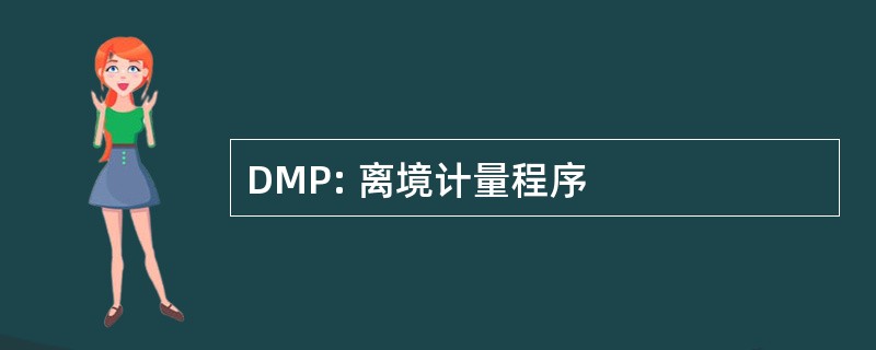 DMP: 离境计量程序