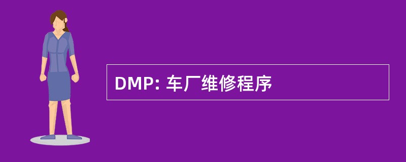 DMP: 车厂维修程序