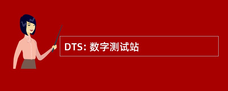 DTS: 数字测试站