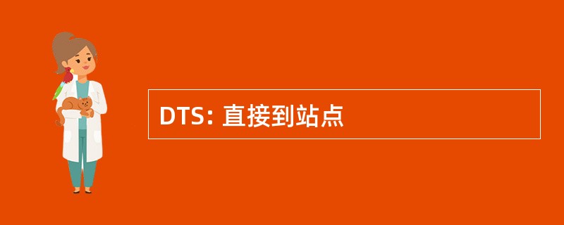 DTS: 直接到站点