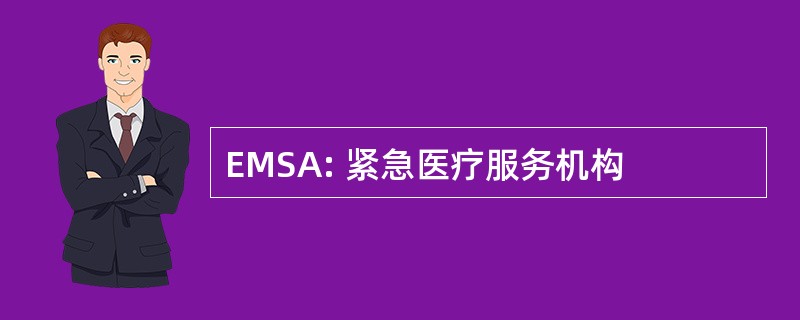 EMSA: 紧急医疗服务机构