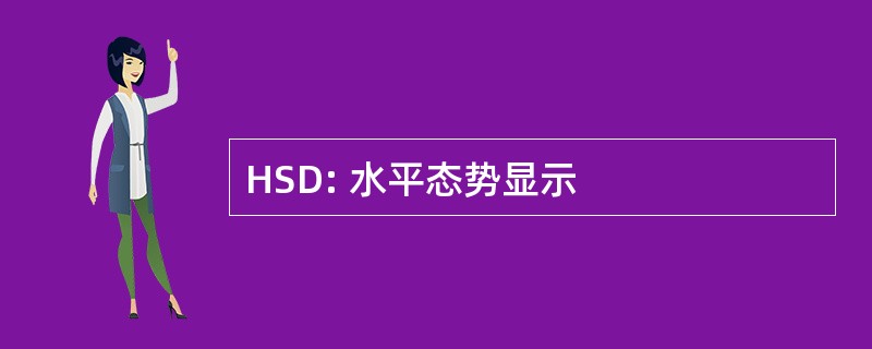 HSD: 水平态势显示