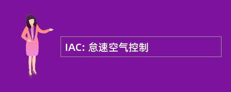 IAC: 怠速空气控制