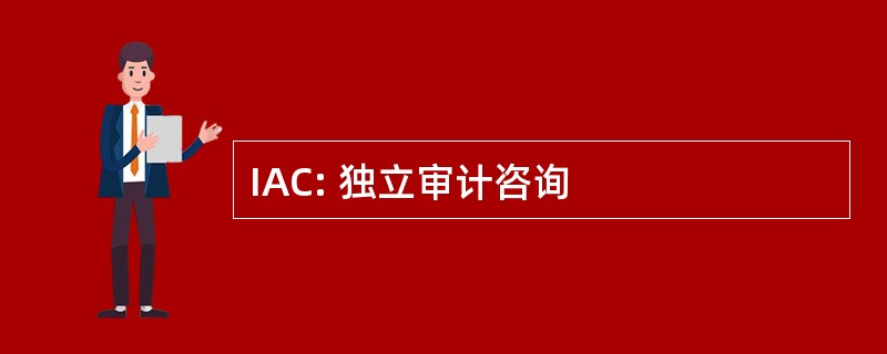 IAC: 独立审计咨询