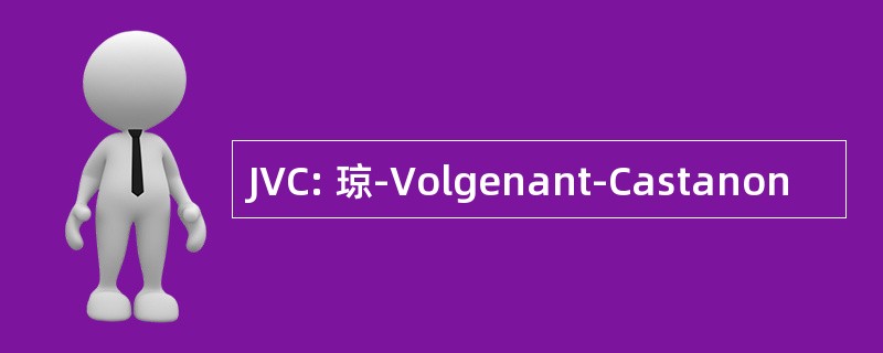 JVC: 琼-Volgenant-Castanon