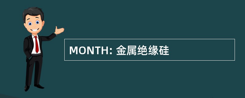 MONTH: 金属绝缘硅