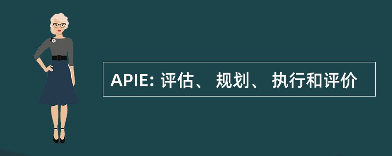 APIE: 评估、 规划、 执行和评价