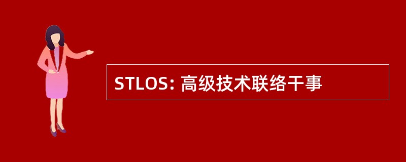 STLOS: 高级技术联络干事