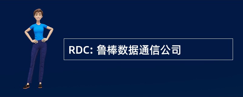 RDC: 鲁棒数据通信公司