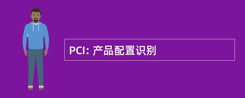 PCI: 产品配置识别