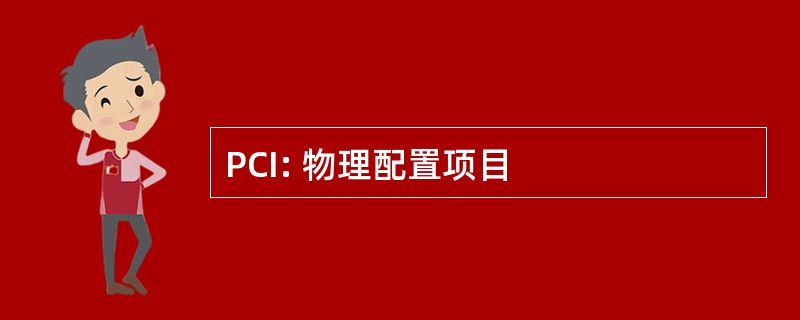 PCI: 物理配置项目