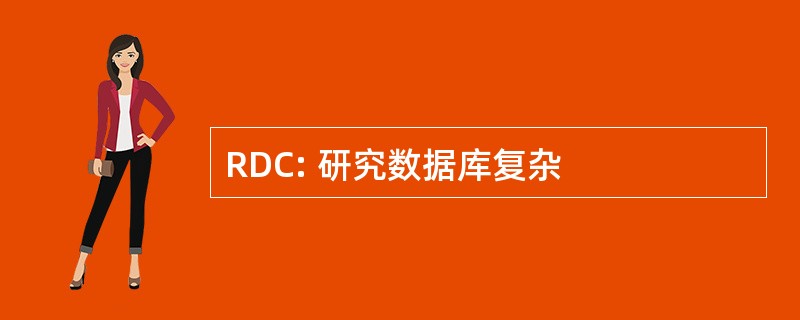 RDC: 研究数据库复杂