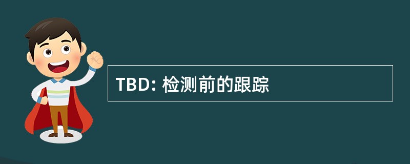 TBD: 检测前的跟踪