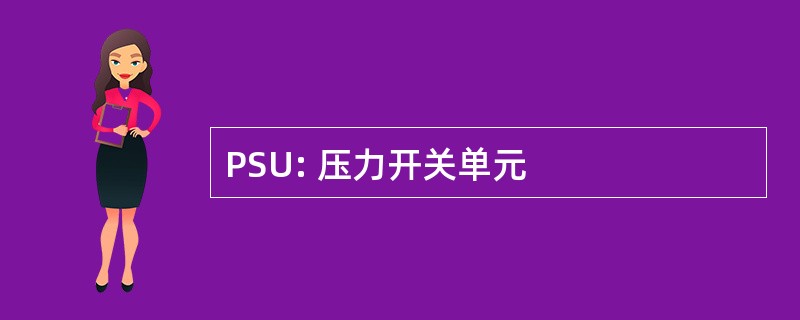 PSU: 压力开关单元