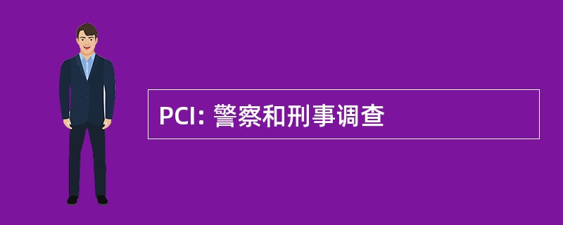 PCI: 警察和刑事调查