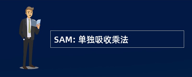 SAM: 单独吸收乘法