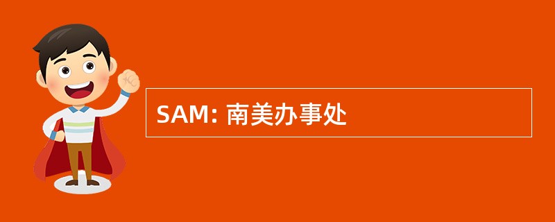 SAM: 南美办事处