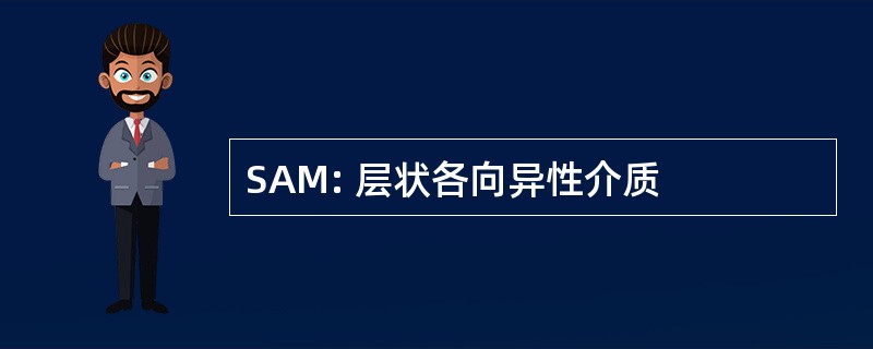 SAM: 层状各向异性介质