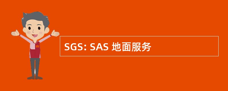 SGS: SAS 地面服务