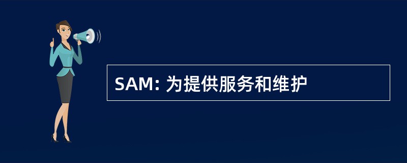 SAM: 为提供服务和维护